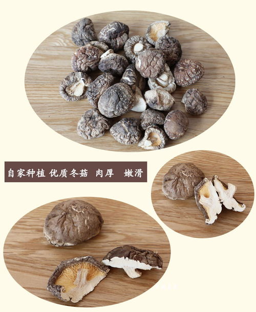 品质之源 常顺香菇干货500g剪脚金钱菇的农家风味与市场价值