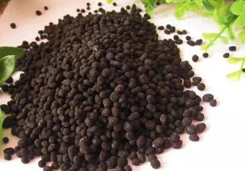 生物菌肥你会用吗？这六大误区要注意改正