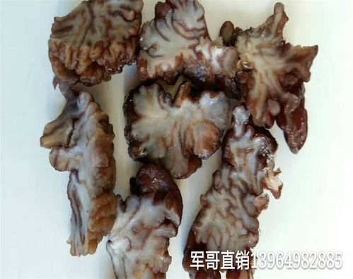 “猴脑菇”说｜营养丰富的食用菌新品，惊艳上市！